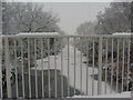 Frozen Stainforth and Keadby Canal