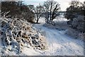 A Snowy Farm Track