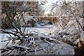 Hamilton Bridge in the Snow