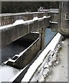 Pitlochry Dam