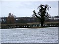 Farmland near Spetisbury