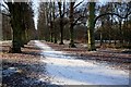 Limetree Avenue and path Clumber