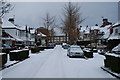 Elm Grove in the snow