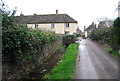 Stream by the lane, Bossington