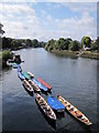 Moored Boats on the Thames at Richmond