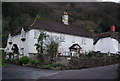 Snows Orchard, West Porlock