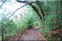 SS8746 : Footpath to Porlock, The Parks by N Chadwick