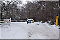 Rossmore Oysters & angler car park entrance