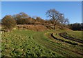 Track above Upper Chalkley Farm