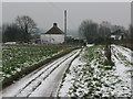 Track to Parsonage Cottages and Marshborough