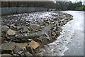 Millhouses Park Fish Ladder