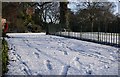 J3372 : Snow, Botanic Gardens by Rossographer