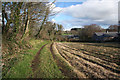 Farm track at Castle Horneck