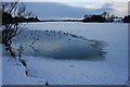 Forfar Loch