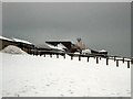 Snow scene near Brighton racecourse