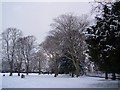 Gillingham Park (Winter 2010)