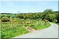 The lane to Blaen Yale