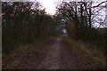 Footpath through the woods