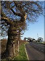 A3052 at Windmill Hill