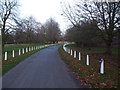 Lane to Wiseton Hall