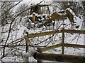 Abandoned JCB at Madehurst