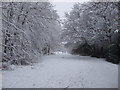 Footpath off Rhydypenau Rd, Cardiff