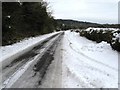 Road from Madehurst to the A29