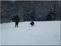 TQ2995 : Walking the dog, Oakwood Park, London N14 by Christine Matthews