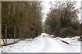 SP4269 : Snow-covered lane to Frankton Grounds near the fishponds by Andy F