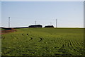 Barn on the horizon, Kentsford Farm