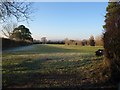 Field by Heathfield Cross