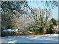 Estate cottages at Stopham