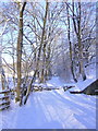 Footpath to the River Ogden