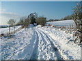 Sandy Lane looking west