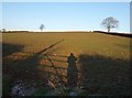 Field near Shepherds Park Farm