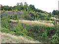 Some of the overgrown walls of Amherst Fort