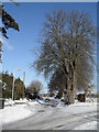 Treacherous conditions at the junction of Leigh Road and Lavant Drive