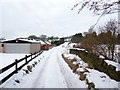 Snow bound road to Stone Hill Nurseries