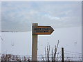 Janice Cowell Bridleway, Signs