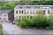 SD9926 : Mayroyd Mill by Phil Champion
