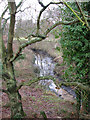 Drain on the eastern edge of Alder Carr