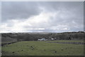 Fields above Cowlow