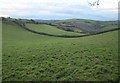 Combe west of Withiel