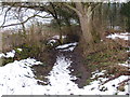 Byway in Wood just to the north of Quality Cottages