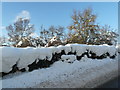 Roadside near Rogart