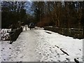 The Auld Bridge, Luggiebank