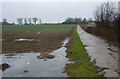 Farm track to Oaktree Farm