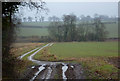 Track towards Thorpe Lane