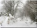 Lonkley Bank in the snow