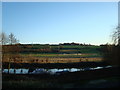 View from Wateringbury railway station